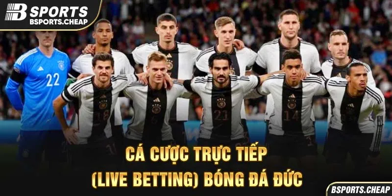 Cá cược trực tiếp bóng đá Đức tại Bsports với hình ảnh đội tuyển Đức