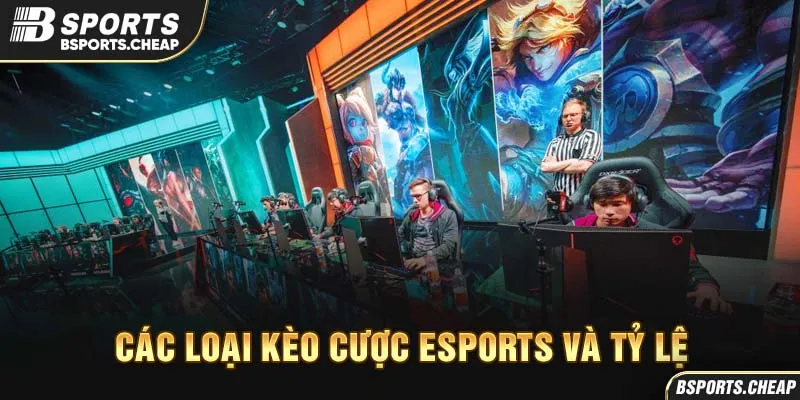 Các loại kèo cược esports và tỷ lệ tại Bsport với hình ảnh thi đấu và màn hình
