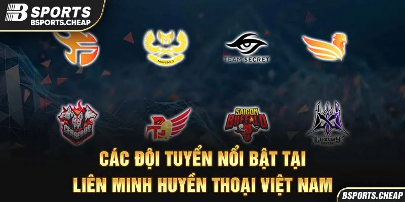 Quảng cáo các đội tuyển nổi bật Liên Minh Huyền Thoại Việt Nam tại Bsport