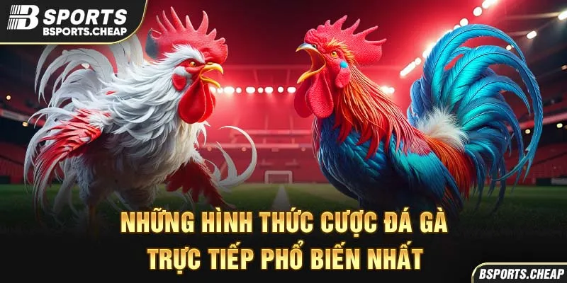 Hình thức cá cược đá gà trực tiếp tại Bsport với hình ảnh hai chú gà