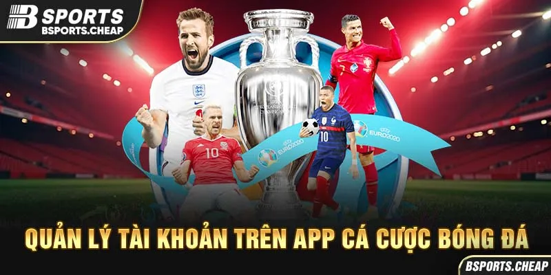 Quản lý tài khoản trên app cá cược bóng đá Bsports với hình ảnh cúp Euro