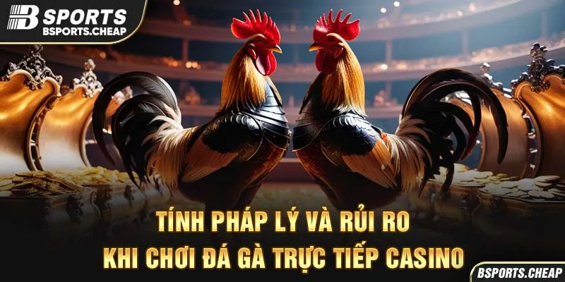 Tính pháp lý và rủi ro khi chơi đá gà trực tiếp tại Bsport