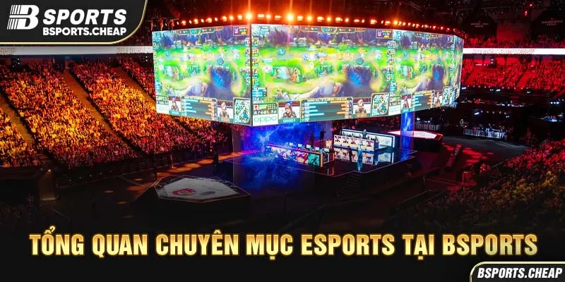 Tổng quan chuyên mục esports tại Bsport với hình ảnh giải đấu lớn và khán giả