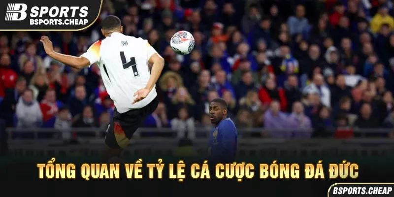 Tổng quan về tỷ lệ cá cược bóng đá Đức tại Bsports với hình ảnh cầu thủ