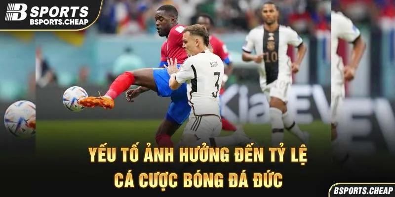 Yếu tố ảnh hưởng đến tỷ lệ cá cược bóng đá Đức tại Bsports